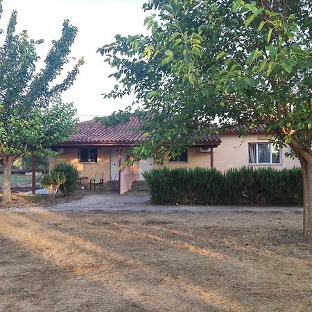 Romvi Village Amaliada Dış mekan fotoğraf