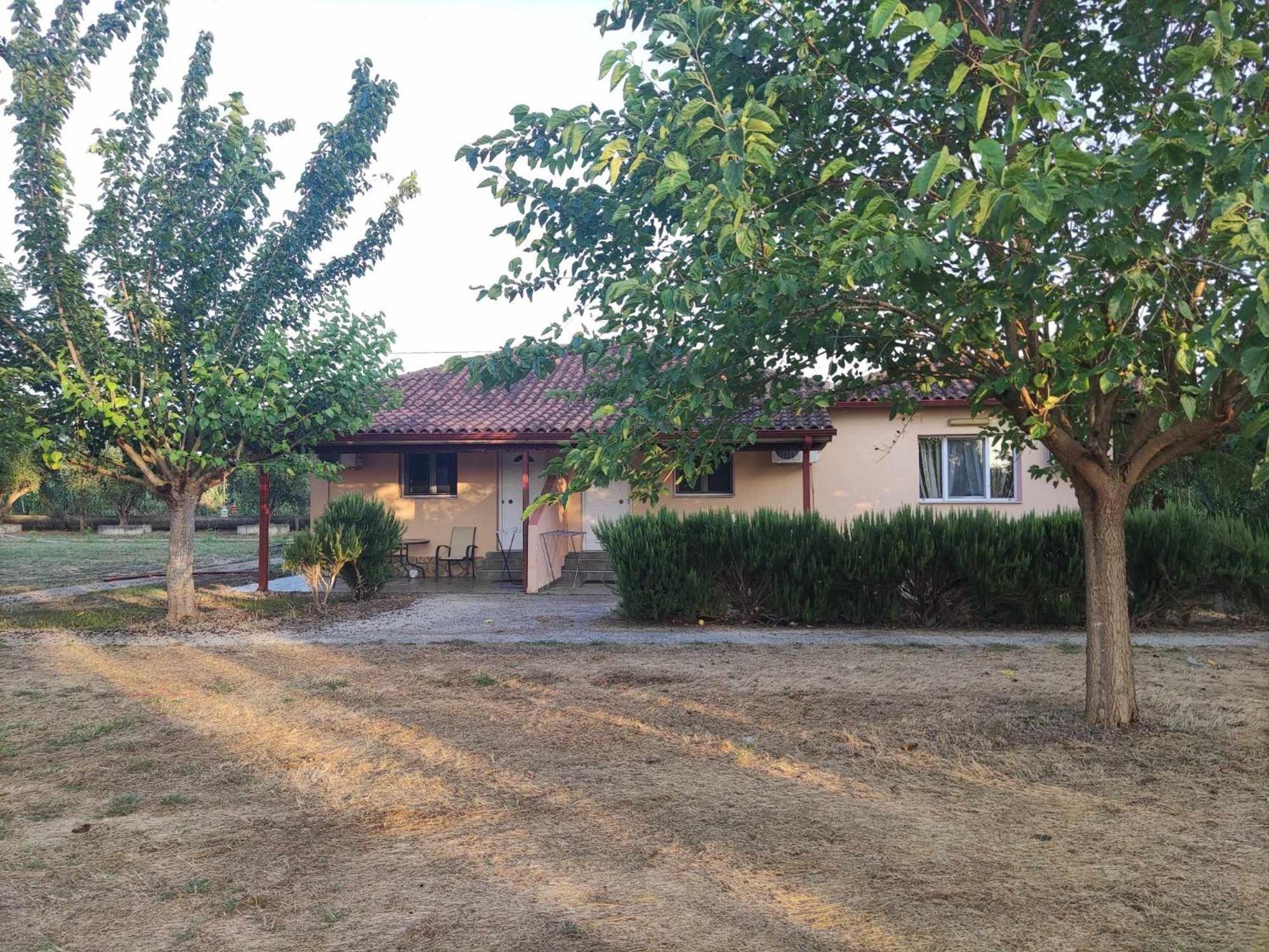 Romvi Village Amaliada Dış mekan fotoğraf